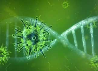 Bollettino Coronavirus, i dati del 3 novembre: 28.244 nuovi casi