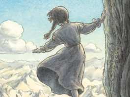 Studio Ghibli: Il Grande Albero al Centro del Mondo di Makiko Futaki il grande albero al centro del mondo
