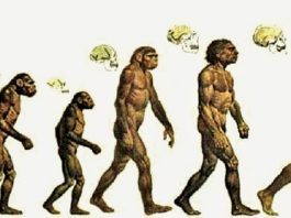 L’Origine della Specie, opera cardine di Darwin