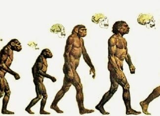 L’Origine della Specie, opera cardine di Darwin