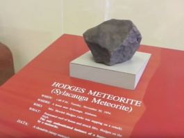 Ann Elizabeth Hodges, la prima persona colpita da un meteorite