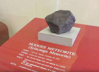 Ann Elizabeth Hodges, la prima persona colpita da un meteorite