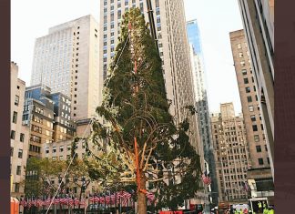 New York come Roma: anche la Grande Mela ha il suo “Spelacchio”