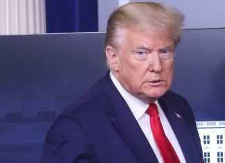 Tutte le popstar contro Donald Trump photo credits: Ilbolive.UNIPD.IT