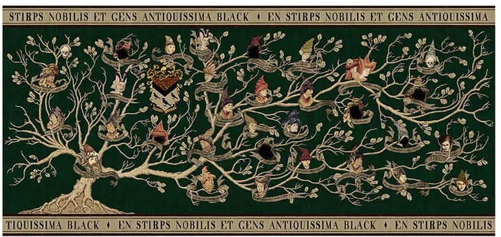 L'albero genealogico della famiglia Black © pinterest.com