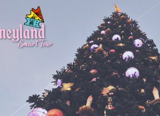 Disneyland Smart Tour: la magia della stagione natalizia