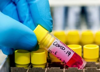 Gran Bretagna: identificata variante del Coronavirus ancora più aggressiva