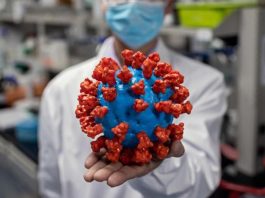Coronavirus: il bollettino dell’11 dicembre bollettino dell'11 dicembre