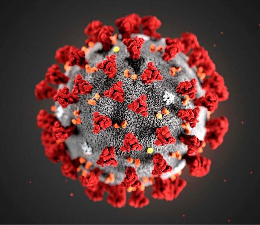 Coronavirus, il bollettino di oggi 10 dicembre: quasi 17mila nuovi casi