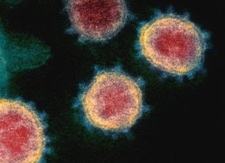 Coronavirus, il bollettino del 5 dicembre: i numeri regione per regione