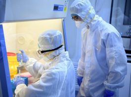 Coronavirus, i contagi sono sottostimati al 50% in Italia coronavirus, fonte ciociariaoggi.it