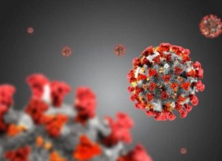 Covid: dalla variante UK a quella brasiliana. La comunità scientifica trema covid