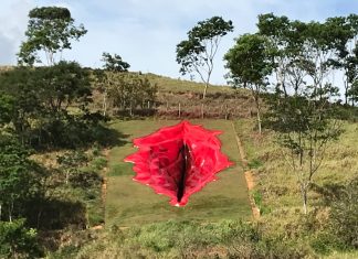Brasile: Juliana Notari ha scavato una vulva gigante juliana notari brasile
