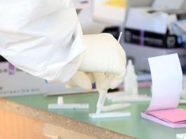 Coronavirus, da lunedì l’Alto Adige torna nuovamente in lockdown Alto Adige, fonte latinaoggi.eu