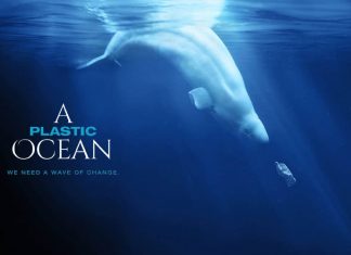 “A Plastic Ocean”, com’è cambiata la vita nei mari A plastic Ocean - Photo Credits: Captain Planet Foundation
