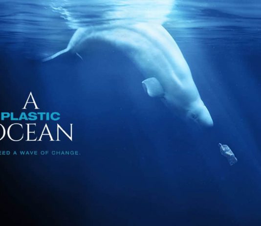 “A Plastic Ocean”, com’è cambiata la vita nei mari A plastic Ocean - Photo Credits: Captain Planet Foundation