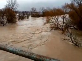 Maltempo, in Campania è esondato il fiume Volturno Volturno, fonte anteprima24.it