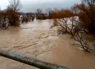 Maltempo, in Campania è esondato il fiume Volturno Volturno, fonte anteprima24.it