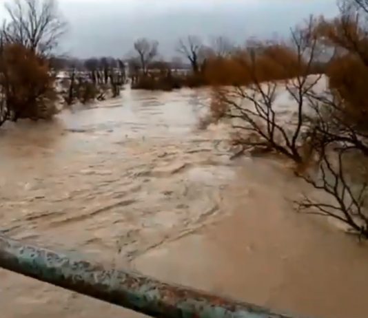 Maltempo, in Campania è esondato il fiume Volturno Volturno, fonte anteprima24.it
