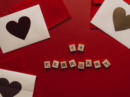 San Valentino: 7 personaggi anime/manga con i quali non usciresti mai San Valentino - Photo Credits: pexels.com