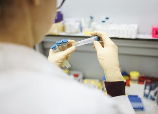Covid: in Liguria il 15% dei tamponi è variante inglese Covid, Liguria
