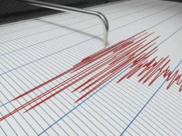 Forte scossa di terremoto in Giappone: più di 100 feriti nella zona di Fukushima