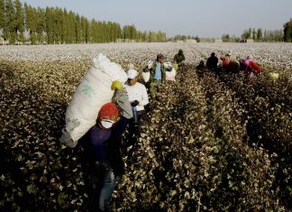 Bacchettate cinesi: H&M, Nike, Burberry contro lo sfruttamento degli Uiguri Xinjiang