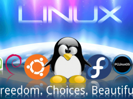 Linux 1.0, il sistema operativo che ha rivoluzionato il mondo dell’informatica
