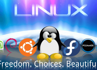Linux 1.0, il sistema operativo che ha rivoluzionato il mondo dell’informatica