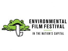Environmental Film Festival 2021: al via la nuova edizione Environmental Film Festival - Photo Credits: DC Post