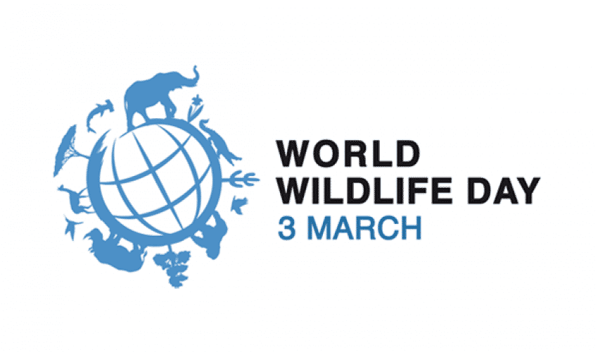 World Wildlife Day - Photo Credits: Protect Our Species
