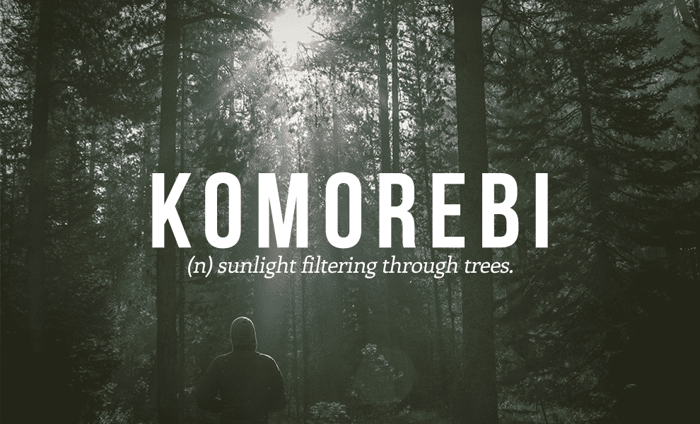 Komorebi - Photo Credits: blogdilifestyle.it
