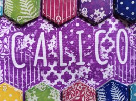 Calico: le trapunte sono le migliori amiche dei gattini