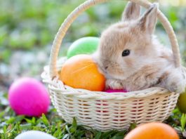 Pasqua, storia e origini della festività Pasqua - PhotoCredit © tgcom24.mediaset.it
