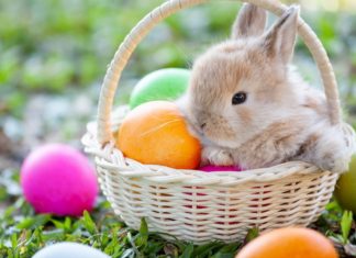 Pasqua, storia e origini della festività Pasqua - PhotoCredit © tgcom24.mediaset.it