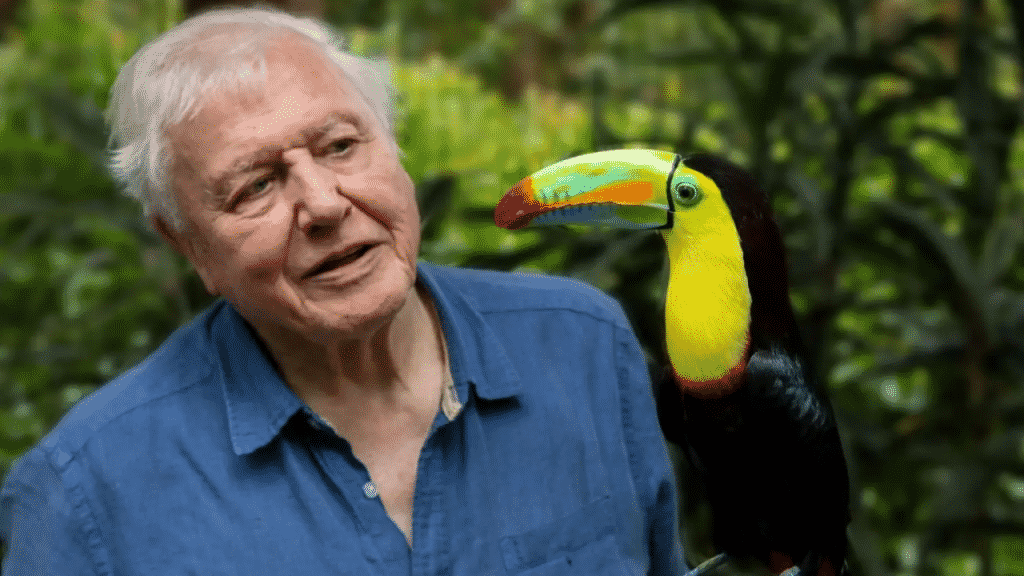David Attenborough ne "La Vita a Colori" - Photo credits: Netflix