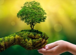 Earth Day: giovedì 22 aprile 14 ore non-stop dedicate alla terra su “Focus” Earth Day © cryptonomist.ch