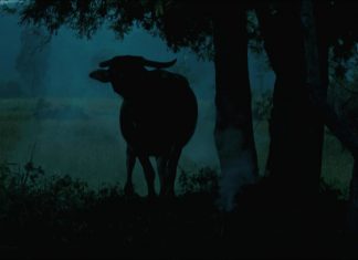 “ Lo Zio Boonmee che si ricorda le vite precedenti” e la vittoria a Cannes o zio boonmee che si ricorda e vite precedenti