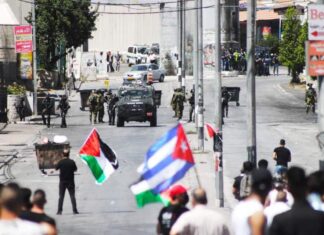 Ambasciatrice palestinese a Meloni: “Italia riconosca Stato di Palestina” Bandiera cubana in palestina