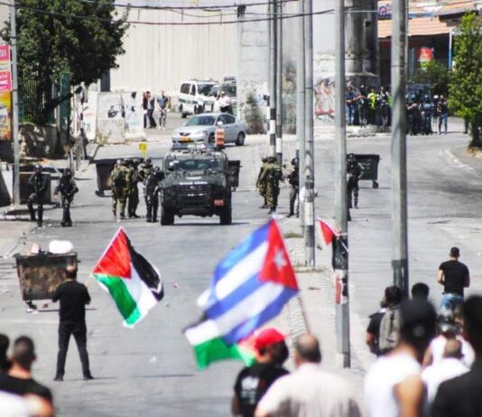 La storia della bandiera cubana in mezzo a quelle della Palestina Bandiera cubana in palestina