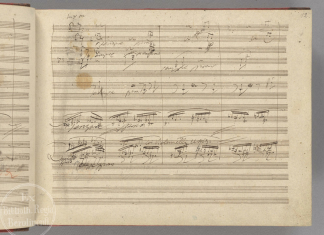 Inno alla gioia, Beethoven: storia della Nona Sinfonia