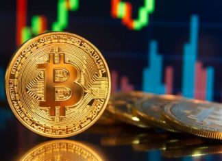Shiba Inu, scopriamo insieme la criptovaluta del momento