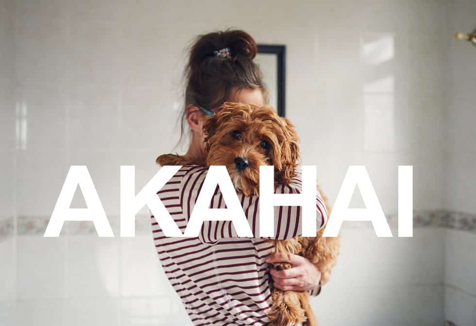 Akahai - Photo Credits: Pinterest 