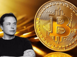 Bitcoin Raggiunge il Minimo Di 3 Mesi e Poi Si Riprende Sui Tweet Di Musk