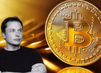 Bitcoin Raggiunge il Minimo Di 3 Mesi e Poi Si Riprende Sui Tweet Di Musk