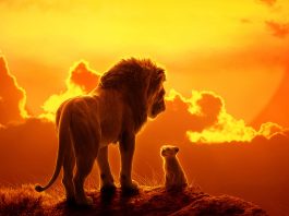 Il re leone 2: nuovi personaggi nel sequel in live action il re leone 2