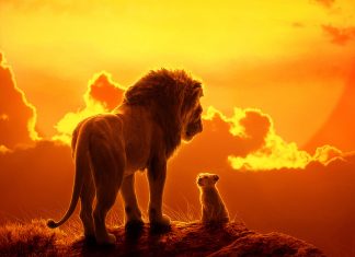 Il re leone 2: nuovi personaggi nel sequel in live action il re leone 2