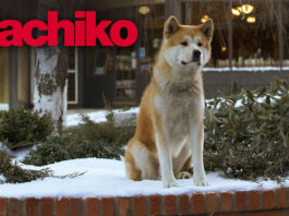 “Hachiko”, la vera storia di amore e lealtà tra un cane e il suo padrone Hachiko