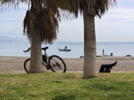 Sport anche in vacanza: suggerimenti per un’estate in bicicletta