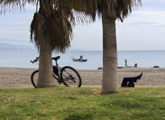 Sport anche in vacanza: suggerimenti per un’estate in bicicletta